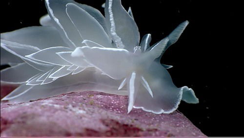 Женя Воробьева