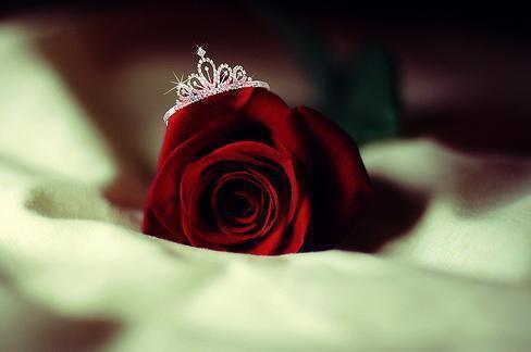 Гули Бадирова