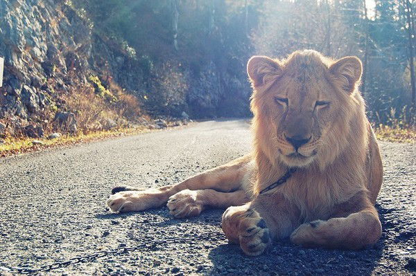 Касымхан ********