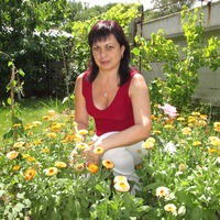 Наталья Полевая