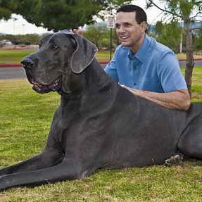 Абдулла Сапаев