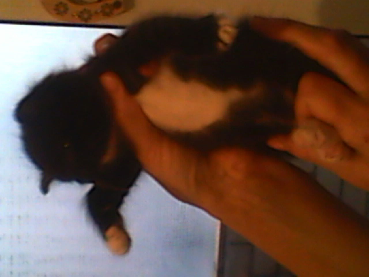 Марина Гончарова