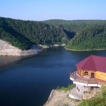 Нелли Эльферт