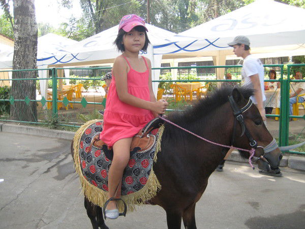 Айжан Алибекова