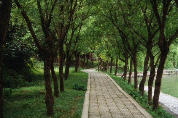 Ёсуман Ёсуман