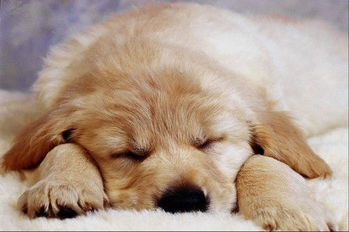 Серега Возмилов