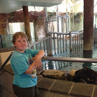 Иван Никитин