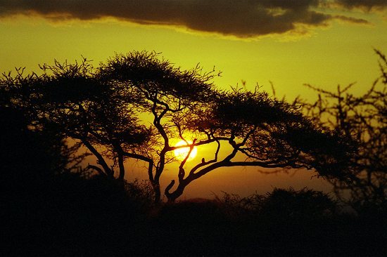 Alexander Hasenkampf