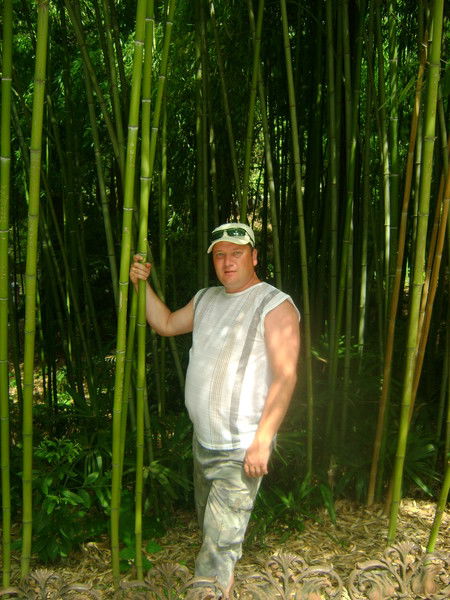 Зенков Владимир