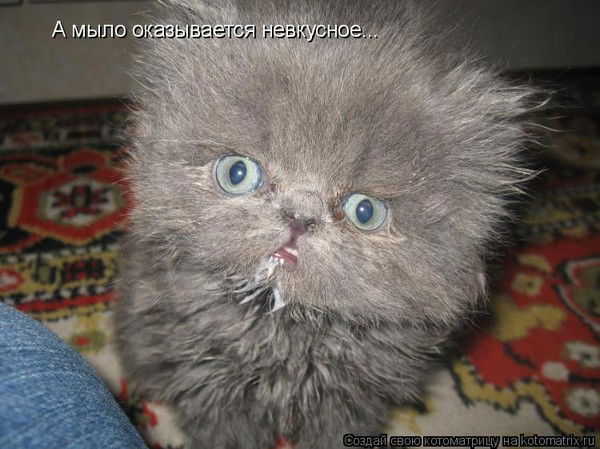 Денис Забродин