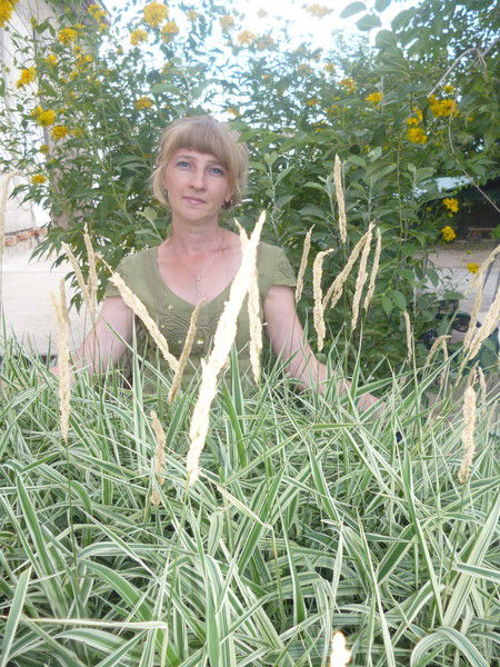 Света Тимошенко