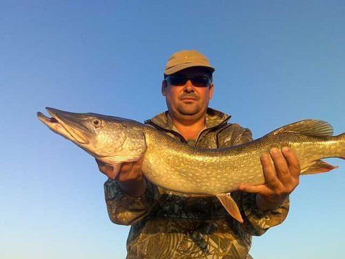 Олег Кузнецов