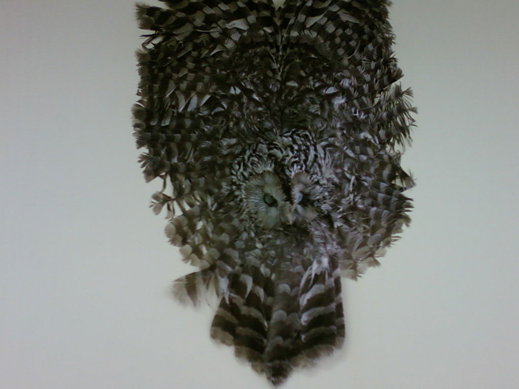 Александра