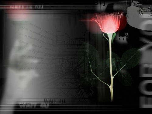 Николай Майданов