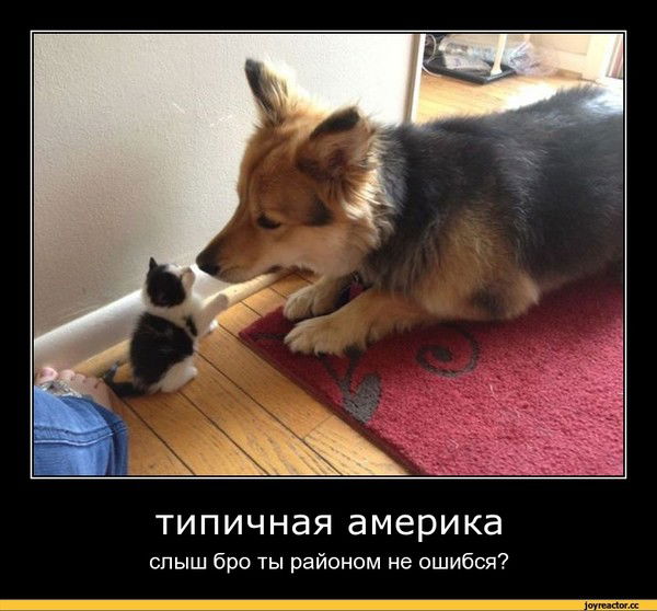 Алиш Айтжан