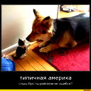 Алиш Айтжан