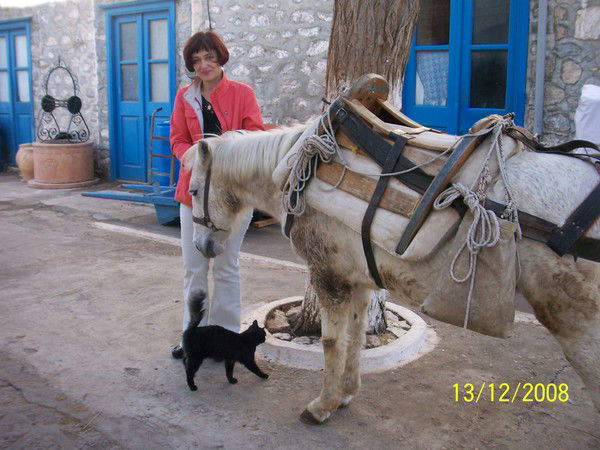 Елена Одинцова