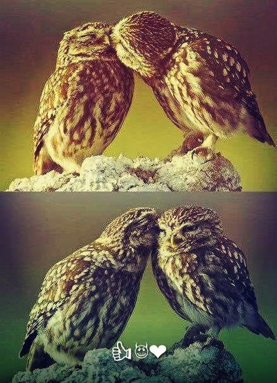 Анна Вабищевич