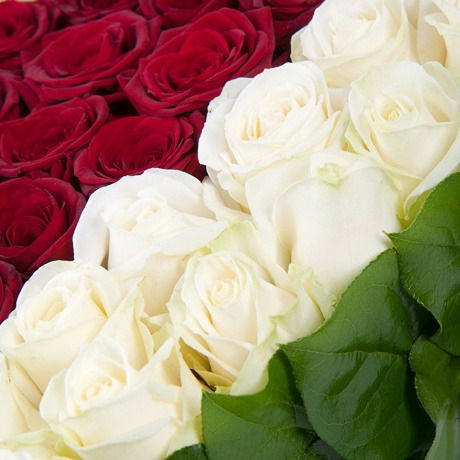 Марияш Тарамбай