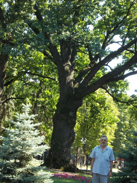 Андрей Бабенко