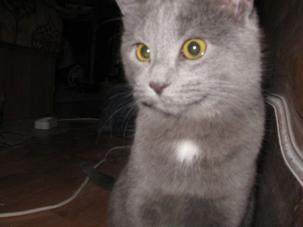 Гузель Хакимова