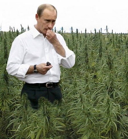 Davronbek Sulaymonov