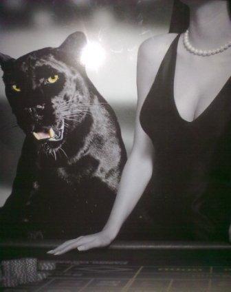 Светлана Королёва