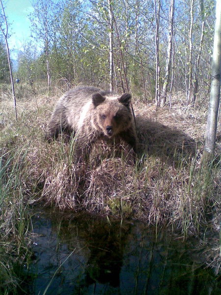 Айрат Рамазанов