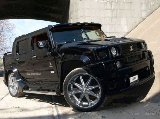 санек васильев