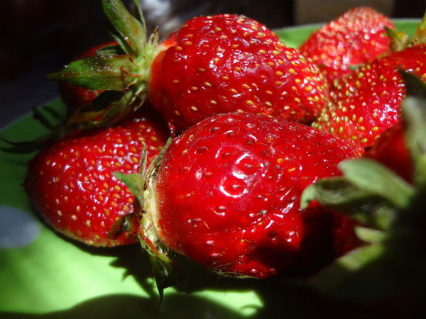 Наталья Юмсунова