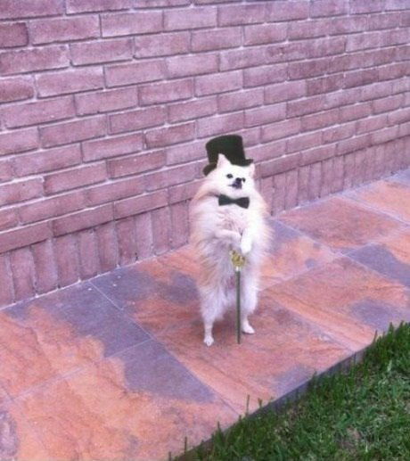 Елена Селютина