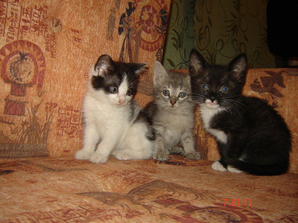 Неизвестно Неизвестно