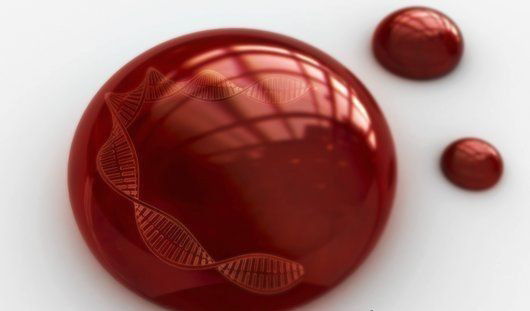 Степан Кремис