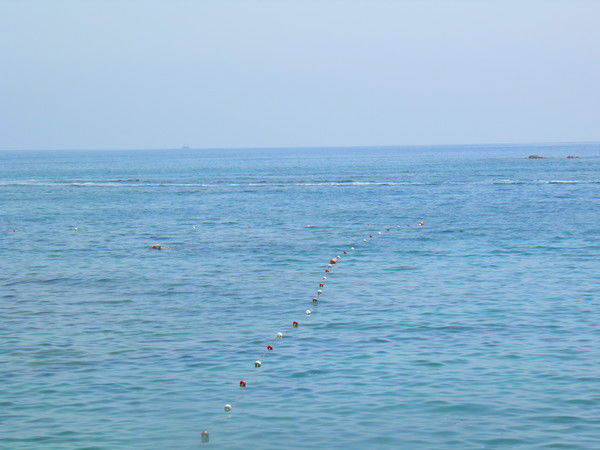 Моя Страница