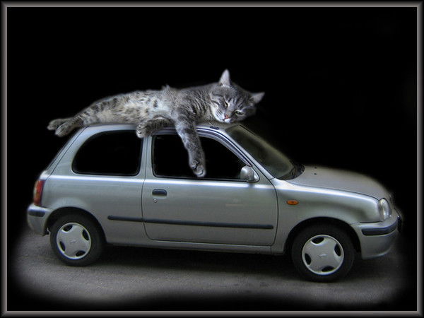 Ирек Мухаметгалеев