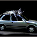 Ирек Мухаметгалеев