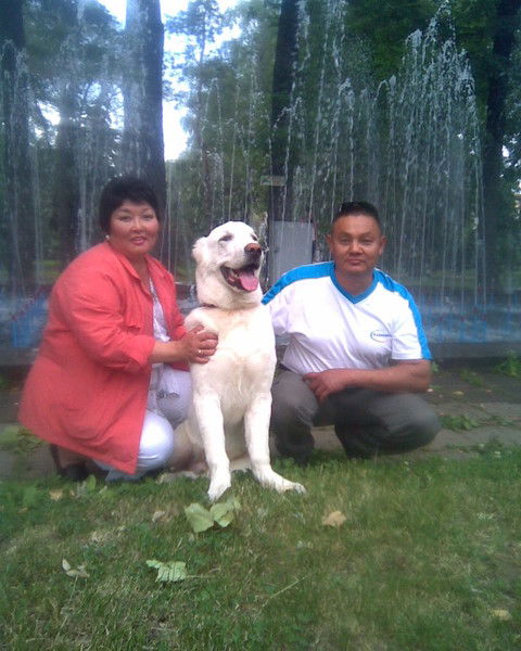 Алтын Абылгазина