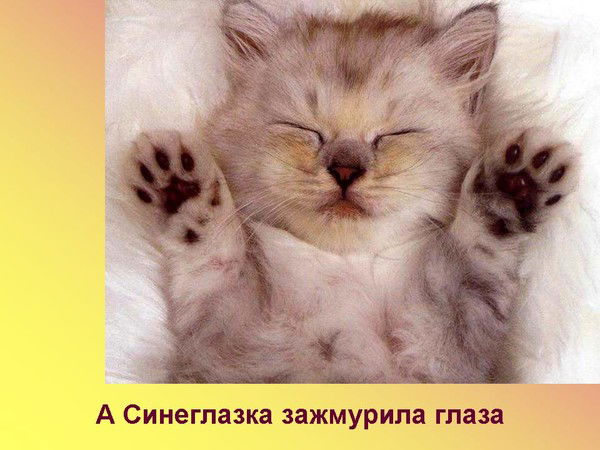 Татьяна Чернякова