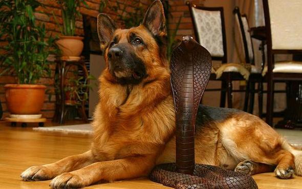 Оксана Моисеева