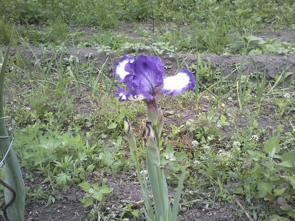 Жанна Ермолаева