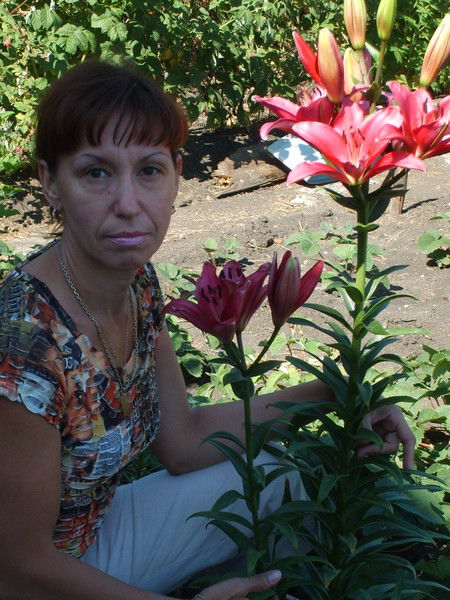 Елена Мельникова