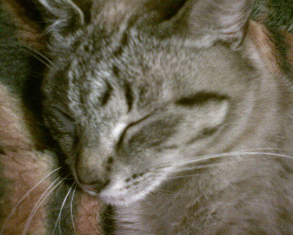 Неизвестно Неизвестно