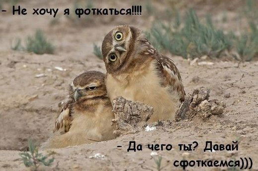 Эльмира Сандыбаева