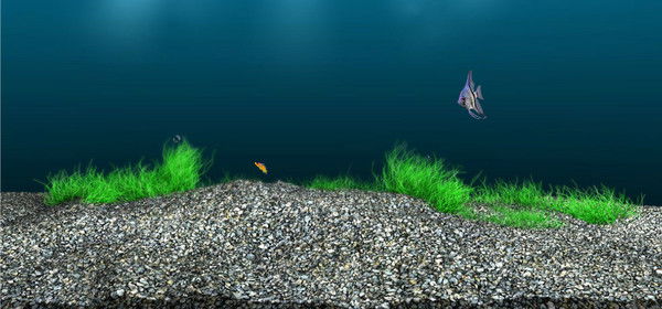 Татьяна Сомова