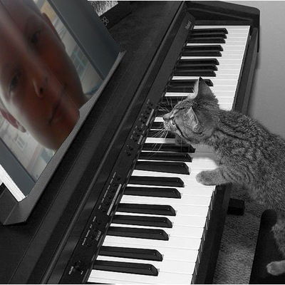 Денис Ефимов