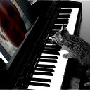 Денис Ефимов