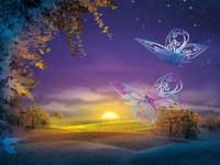 Светлана Козерук