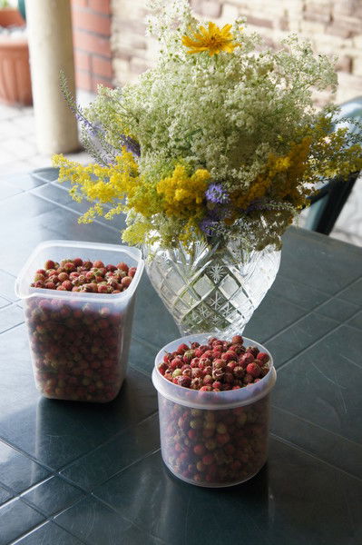 Светлана Ландарь