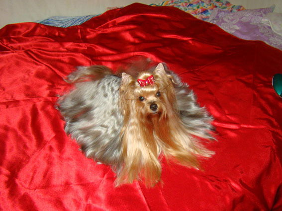 Маша Иванова