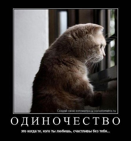 Лариса Жмакина